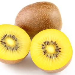 Kiwi Gold Femella Groc