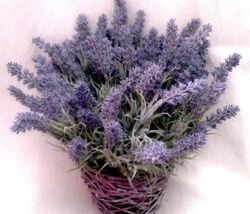 Lavanda artificial pequena (lavanda)