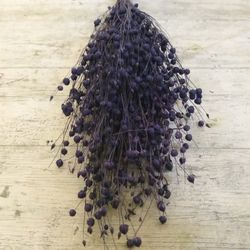 Lli Natural Sec i Colors