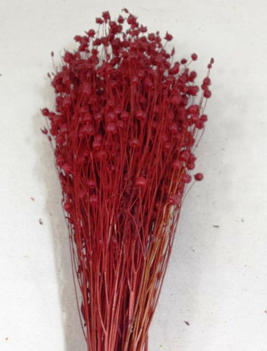 Lli Natural Sec i Colors