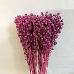 Lli Natural Sec i Colors