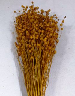 Lli Natural Sec i Colors