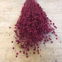 Lli Natural Sec i Colors