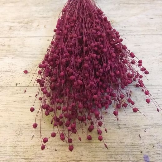 Lli Natural Sec i Colors