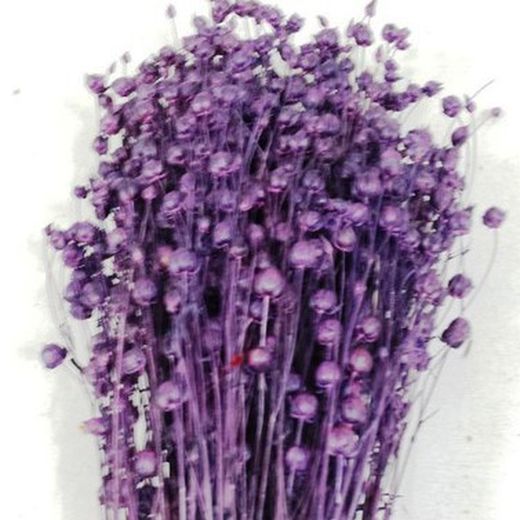 Lli Natural Sec i Colors