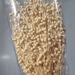 Lli Natural Sec i Colors