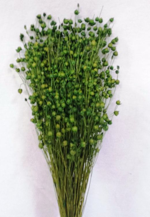 Lli Natural Sec i Colors