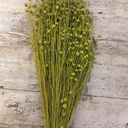 Lli Natural Sec i Colors