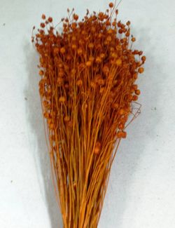 Lli Natural Sec i Colors