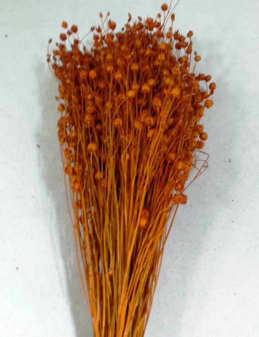 Lli Natural Sec i Colors