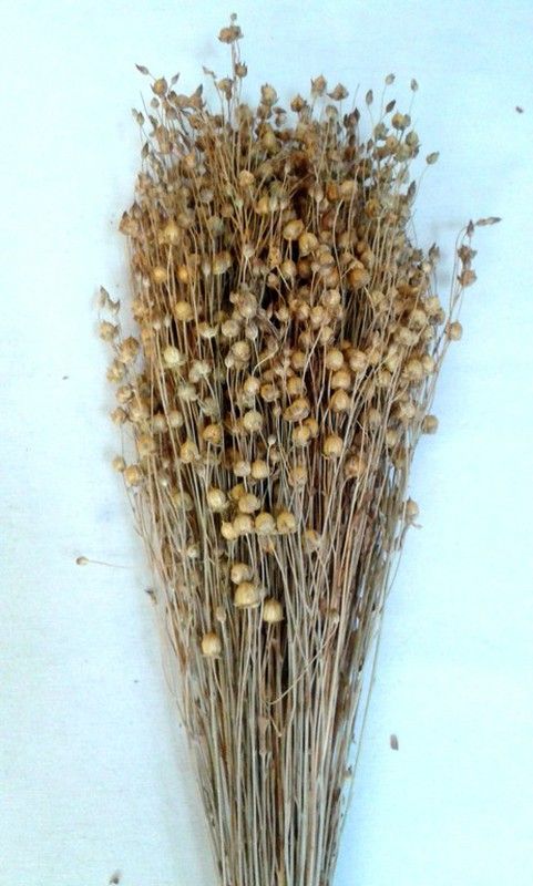 Lli Natural Sec i Colors