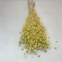 Lli Natural Sec i Colors