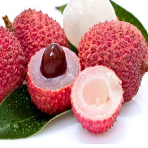 Litchi