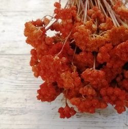 Lona Seca Naranja