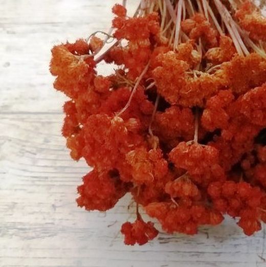 Lona Seca Naranja