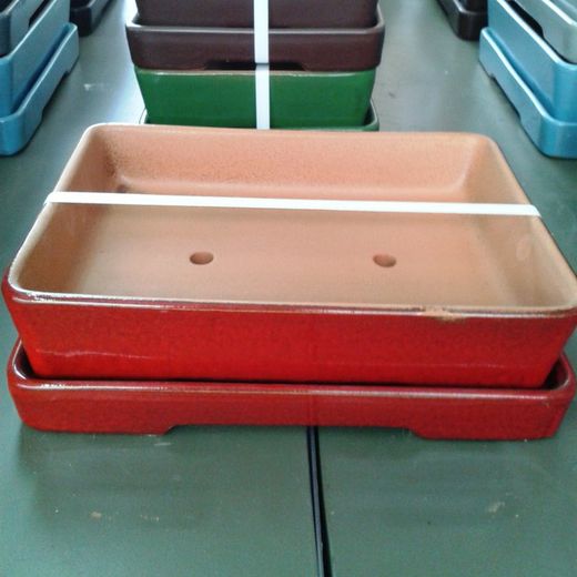 Maceta Bonsai Rectangular con Plato Grande