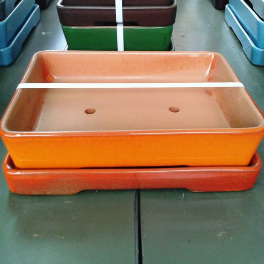 Test Bonsai Rectangular amb Plat Gran