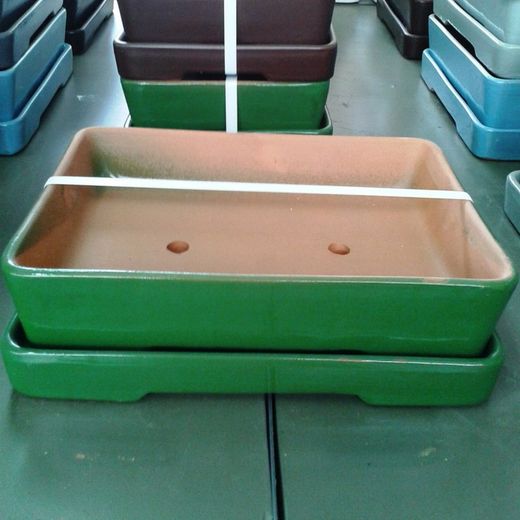 Test Bonsai Rectangular amb Plat Gran