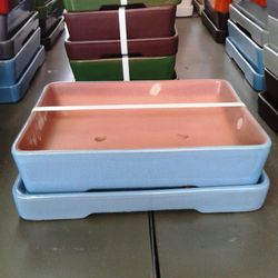 Test Bonsai Rectangular amb Plat Gran