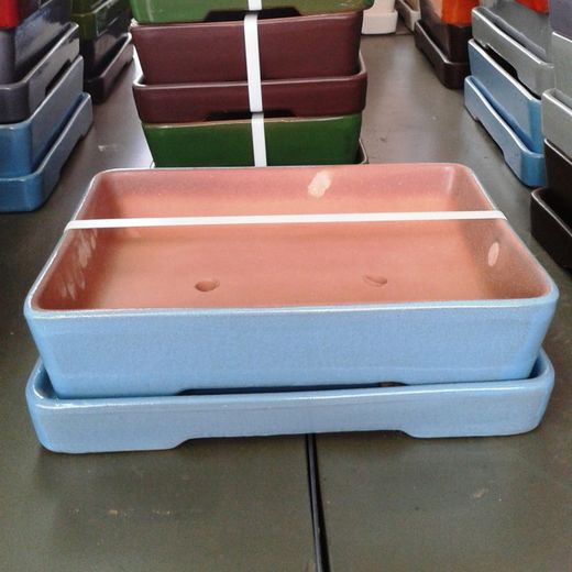 Test Bonsai Rectangular amb Plat Gran