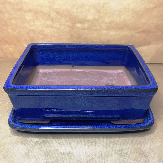 Test Bonsai Rectangular amb Plat Petita