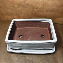 Test Bonsai Rectangular amb Plat Petita