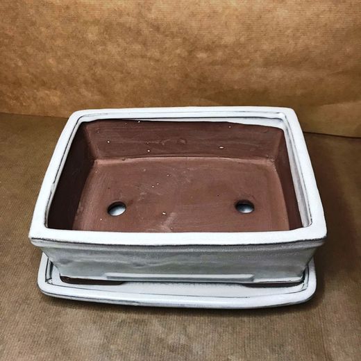 Test Bonsai Rectangular amb Plat Petita