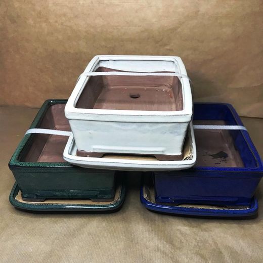 Bonsai vaso retangular com prato pequeno