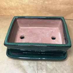 Test Bonsai Rectangular amb Plat Petita