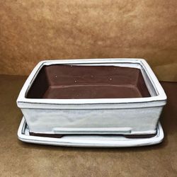 Test Bonsai Rectangular amb Plat Petita