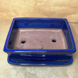 Test Bonsai Rectangular amb Plat Petita