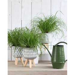 TEST CIMENT GRIS +3 POTES