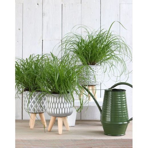 TEST CIMENT GRIS +3 POTES