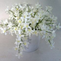 Test Ceràmica Dendrobium Artificial