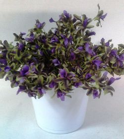 Test Ceràmica Dendrobium Artificial