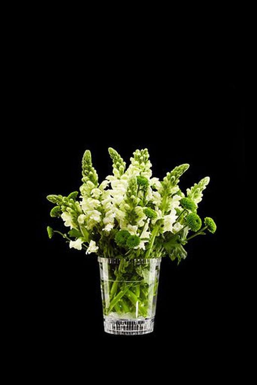 Pot à orchidées transparent polyvalent