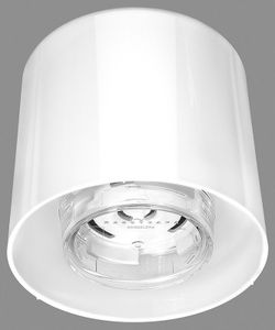 Pot d'orchidées blanc de luxe