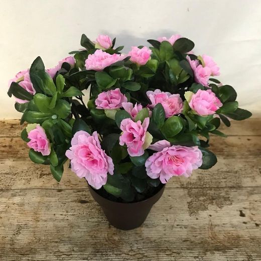 Test Plàstic Azalees Artificials