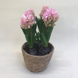Cesta de Mimbre con Jacintos