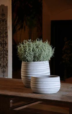 Jardinière Rudo