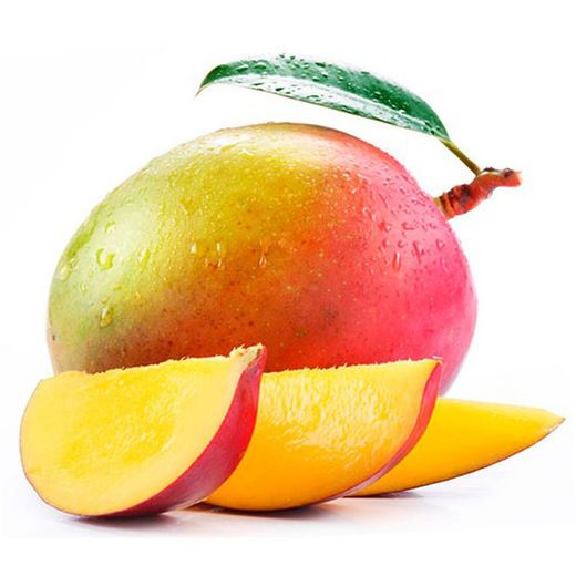 MANGIFERA INDICA (MANGO)