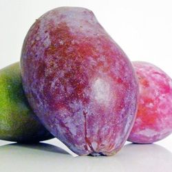 Mango Osteen