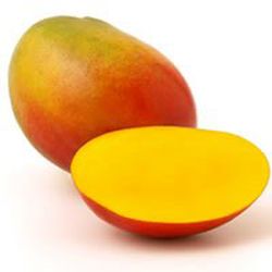 Mango Tommy Atkins