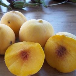 Melocotoneros Amarillo de Agosto