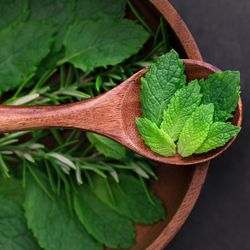 Menta Hierbabuena Bio