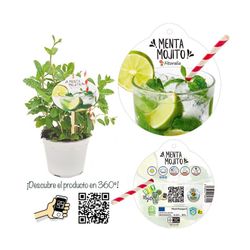 Aromas de frutas orgânicas e hortelã Caixa 8 unidades