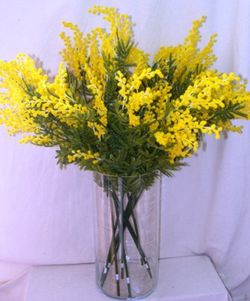 Mimosa Artificial Caja 10 uds.