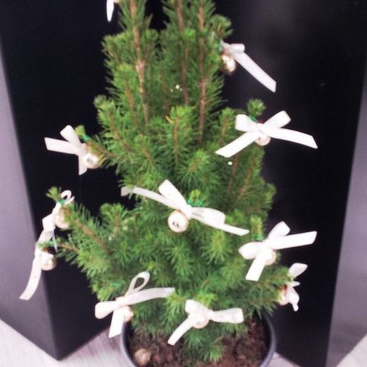 Mini Abetos Navideños