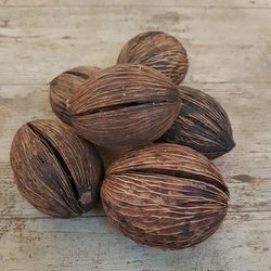 Mintola Cocos Marró