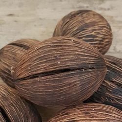 Mintola Cocos Marró